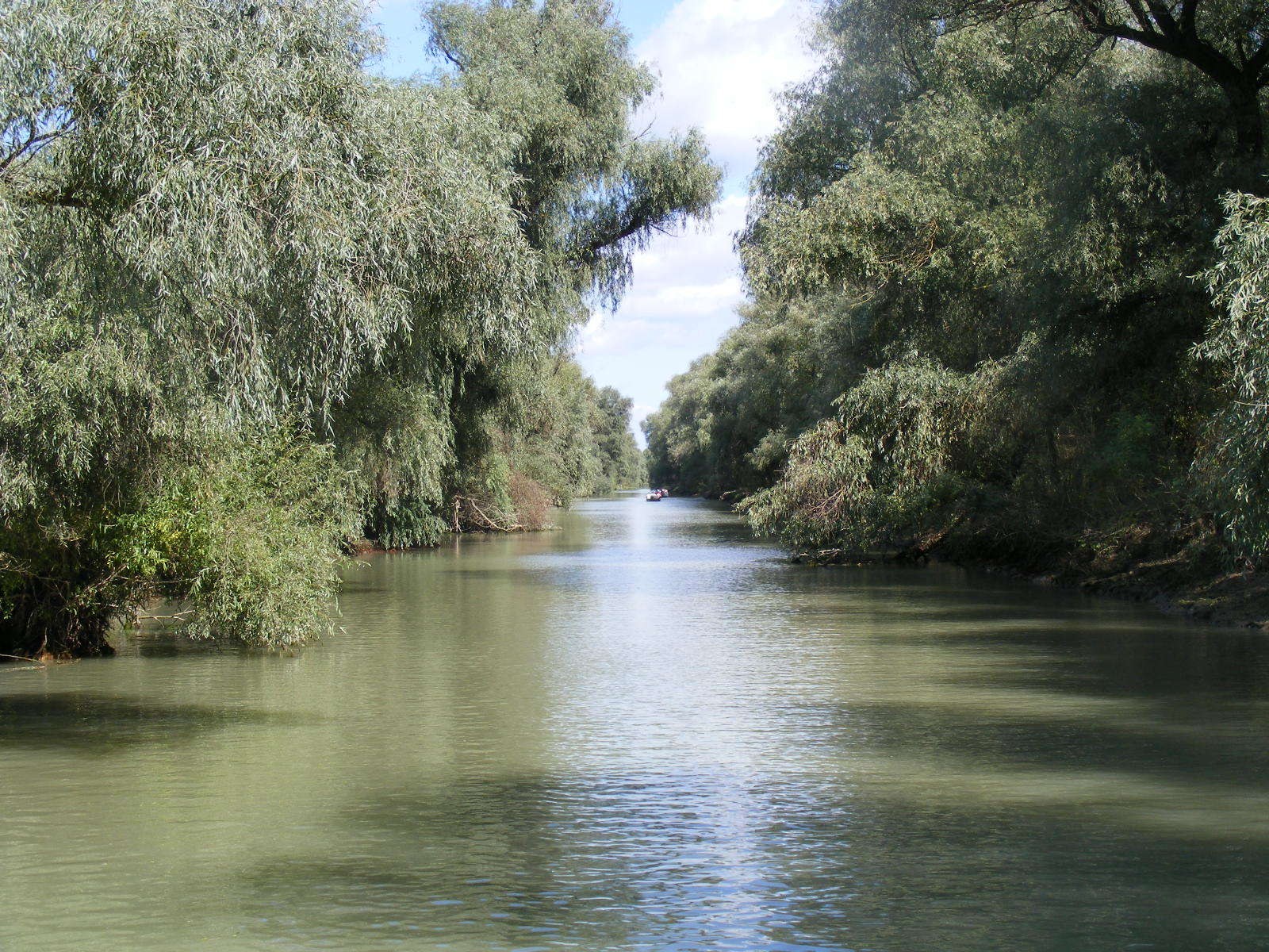 Canalul Uzlina din Delta Dunării, cu vegetație densă pe ambele maluri