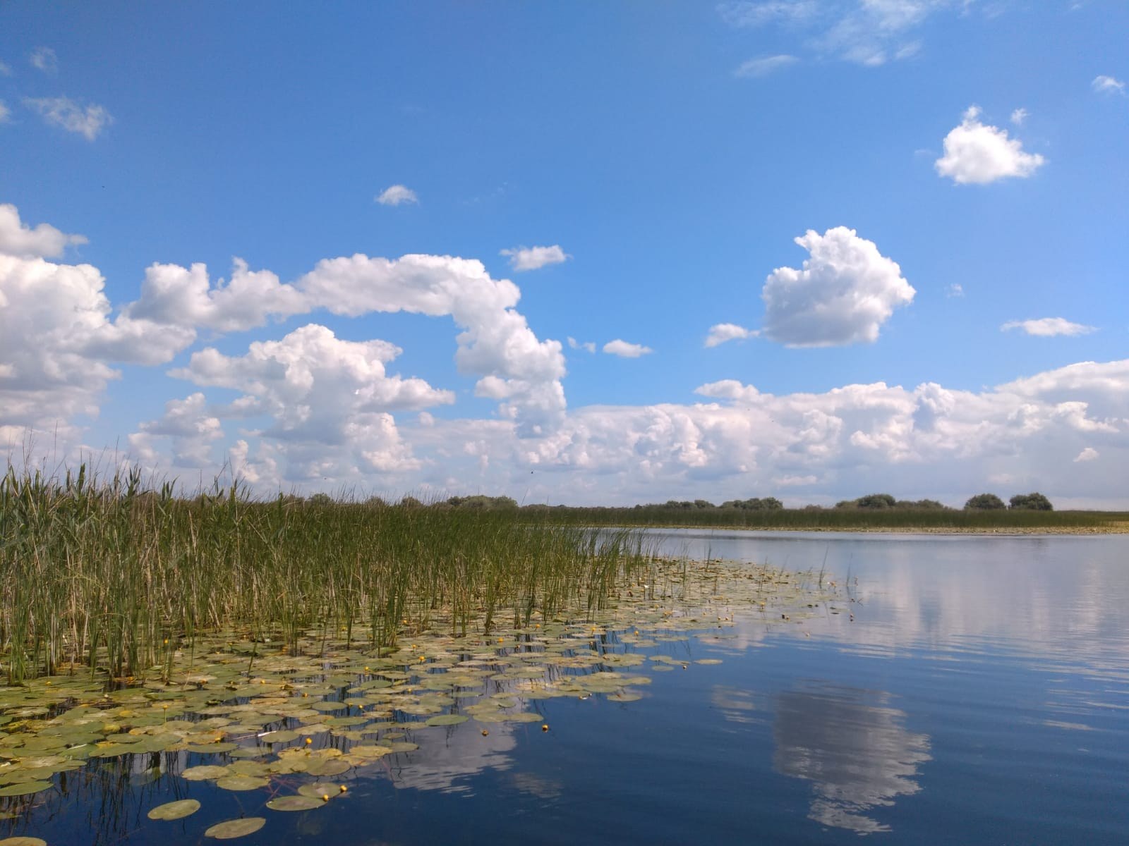 Lac deschis din Delta Dunării sub un cer cu nori de vară